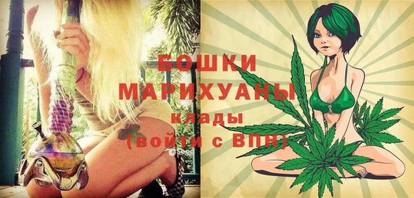 молекула духа Протвино